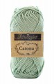 Catona402