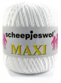 maxi-089