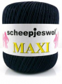 maxi-210