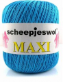 maxi-298